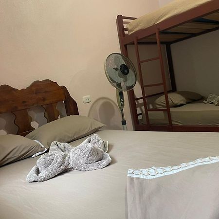 Apartamentos Caligo De Osa Drake Bay Zewnętrze zdjęcie