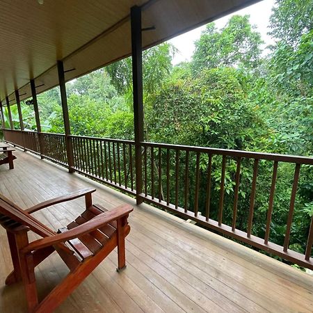 Apartamentos Caligo De Osa Drake Bay Zewnętrze zdjęcie