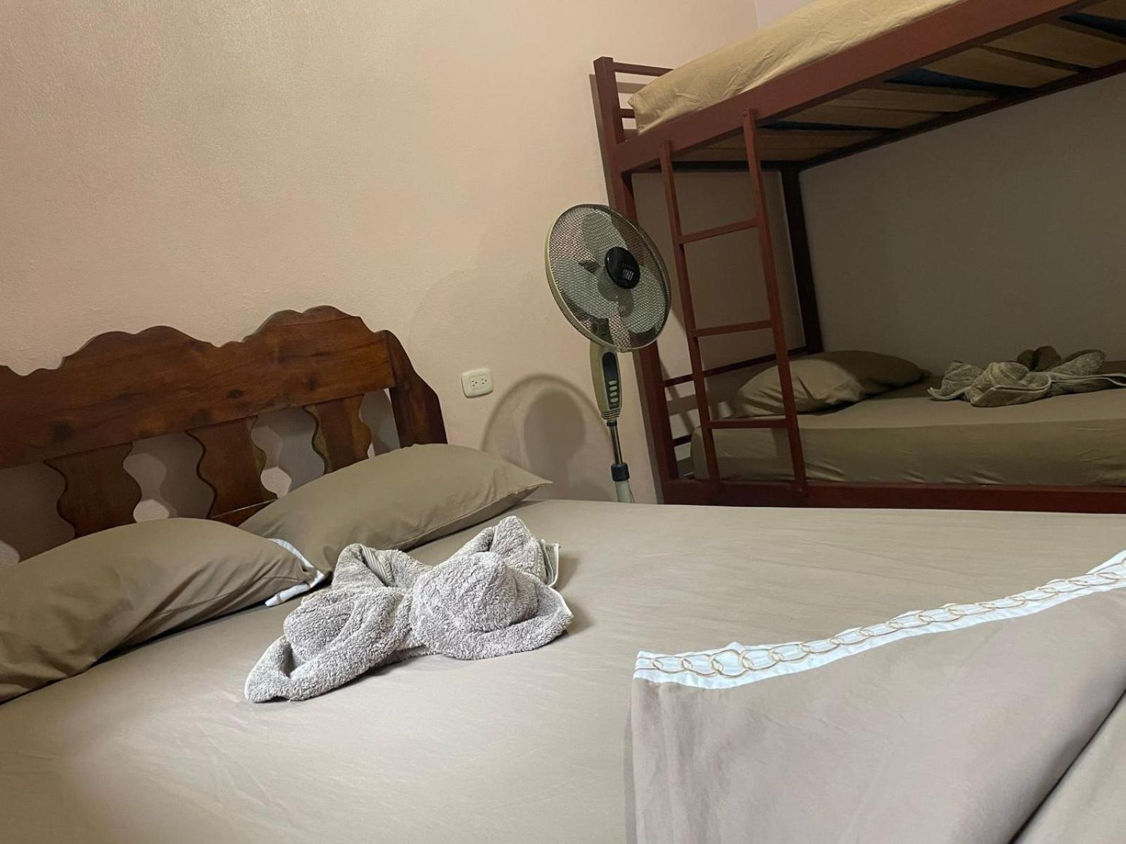Apartamentos Caligo De Osa Drake Bay Zewnętrze zdjęcie