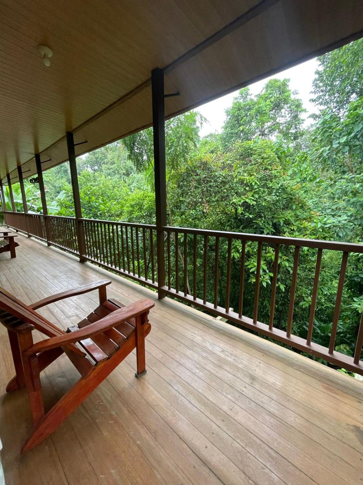 Apartamentos Caligo De Osa Drake Bay Zewnętrze zdjęcie
